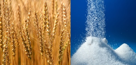 الحكومة تقدر مجهودات الشرطة ..وتؤكد : رصيد القمح والسكر امن