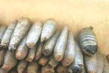 محافظ أسيوط يكافىء فريق حملة أمنية ضبطت بؤرة لزراعة المخدرات