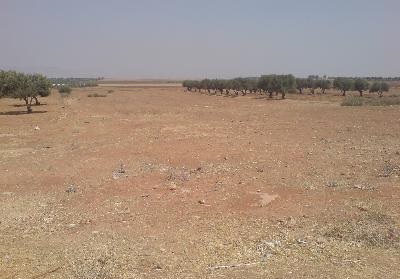 ” القاهرة ” تسلم 6ألاف متر لـ”القوات المسلحة ” لإقامة مدرسة ومركز شباب