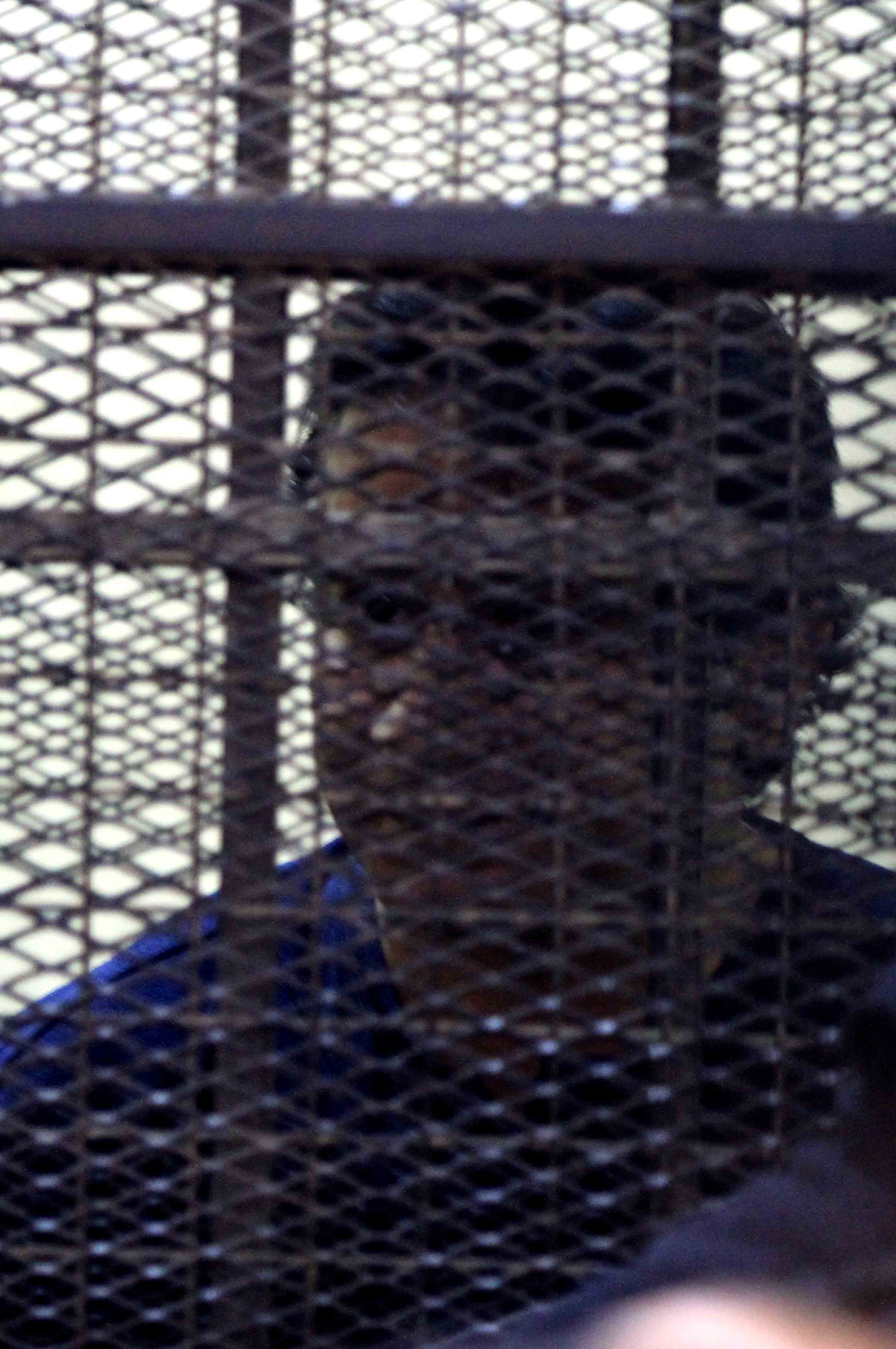 الحكم على احمد عز