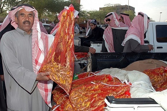 سوق سنوية صغيرة بالسعودية لبيع الجراد