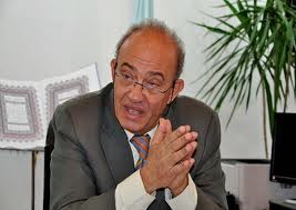 البرعي لـ”الشرق الأوسط”: لا يمكن إجراء الانتخابات وسط تدهور أمني واقتصادي.. ومقاطعتنا ستكون “إيجابية”