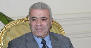إمام : قطاع الكهرباء نجح فى توصيل التغذية الكهربائية إلى 99% من سكان مصر