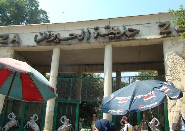 حديقة الحيوان تعد جزيرة الشاى لاستقبال 100 ألف زائر يوميا فى إحتفالات أعياد شم النسيم