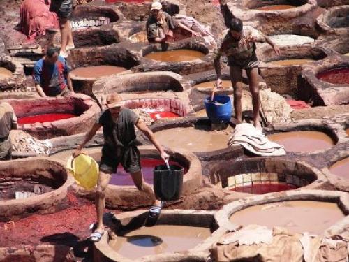 987 مليون جنيه استثمارات المرحلة الأولي لنقل المدابغ للروبيكي