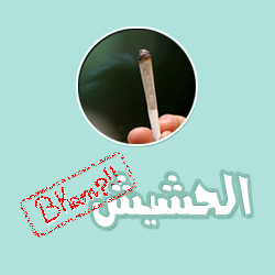 مؤسس ” الحشيش بكام ” لـ ” البورصة “: انشأنا الموقع للتسلية خلال 12 ساعة وكان يمكننا تحقيق ارباح من ” جوجل ادز”