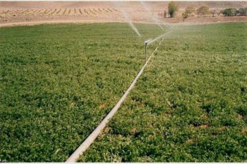 “زراعة الشوري” تطالب فهمي بالتدخل لإنقاذ شركات الإستصلاح الزراعي