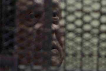 النيابة تحصل 46 مليون جنيه من إبراهيم سليمان