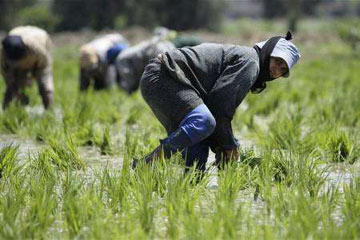 “قومى المرأة” يطالب بمد مظلة التأمين الصحى الى الرائدات الريفيات