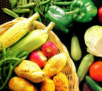 المجلس التصديري للحاصلات الزراعية يطالب باستمرار الدعم المخصص للحاصلات الزراعية