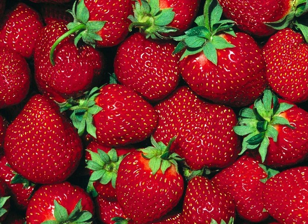 ارتفاع تكاليف الإنتاج يخفض مبيعات الفراولة