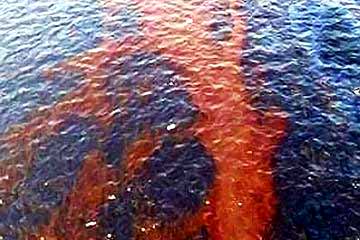 وزارة البيئة تواصل جهودها لتفتيت بقعة زيت بالساحل الشمالي