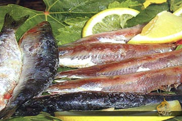 الصحة تناشد المواطنين بالامتناع نهائيا عن أكل الفسيخ