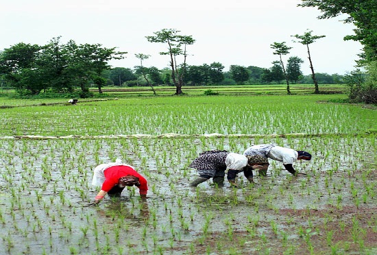 مدير معهد بحوث الموارد المائية : غياب السياسات الرشيدة للمياه يضعف التفاوض حول سد النهضة