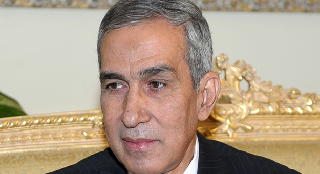 وزير الزراعة يؤكد ضرورة تحقيق إنجازات سريعة تمس المواطن العادى والمستثمرين