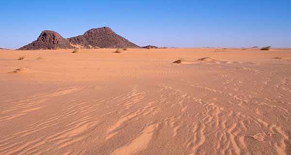 لجنة بمجلس الوزراء لدراسة افضل سبل استغلال المثلث الذهبي بالصحراء الشرقية