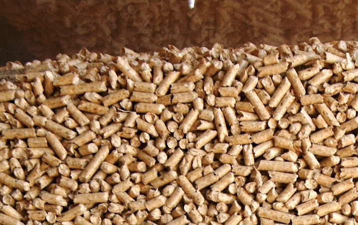 « الفجر » ترصد 30 مليون جنيه لإنشاء خطين لإنتاج علف الدواجن