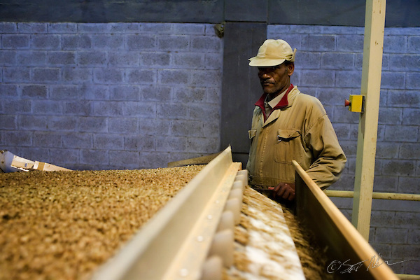 « بولي ليمي » أول منطقة صناعية إثيوبية لجذب الشركات الأجنبية