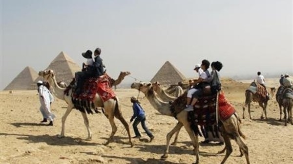 اعداد السائحين