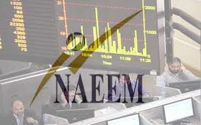 النعيم القابضة للاستثمار