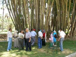 300 مليون جنيه خسائر حديقة الأورمان نتيجة اعتصامات النهضة