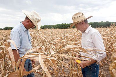 موســم حصــاد تاريخى للذرة فى الولايات المتحدة