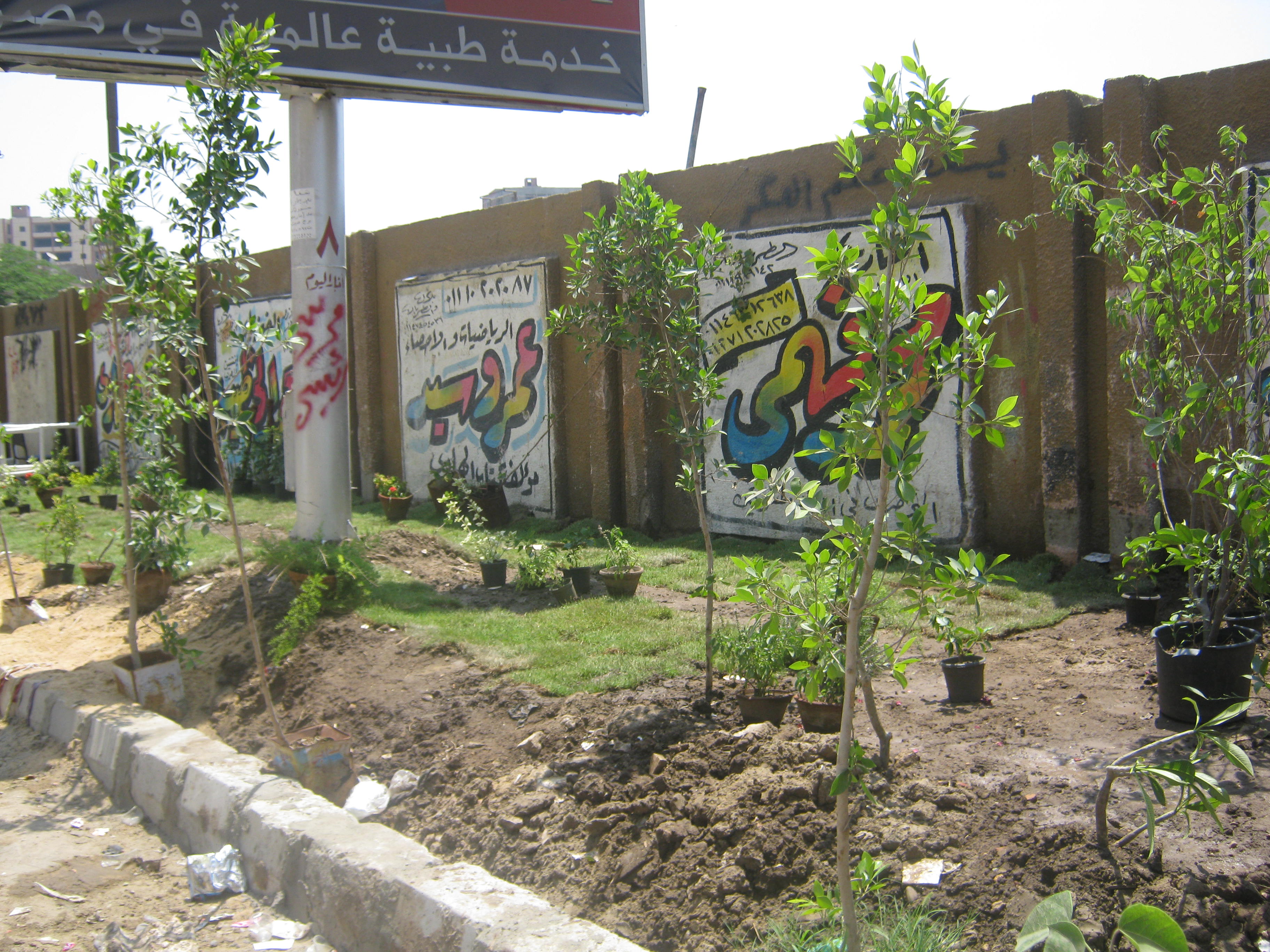 بالتعاون مع الأهالى وشباب المنطقة..مسطحات خضراء بدلا من رمى مخلفات المبانى بمنطقة فيصل