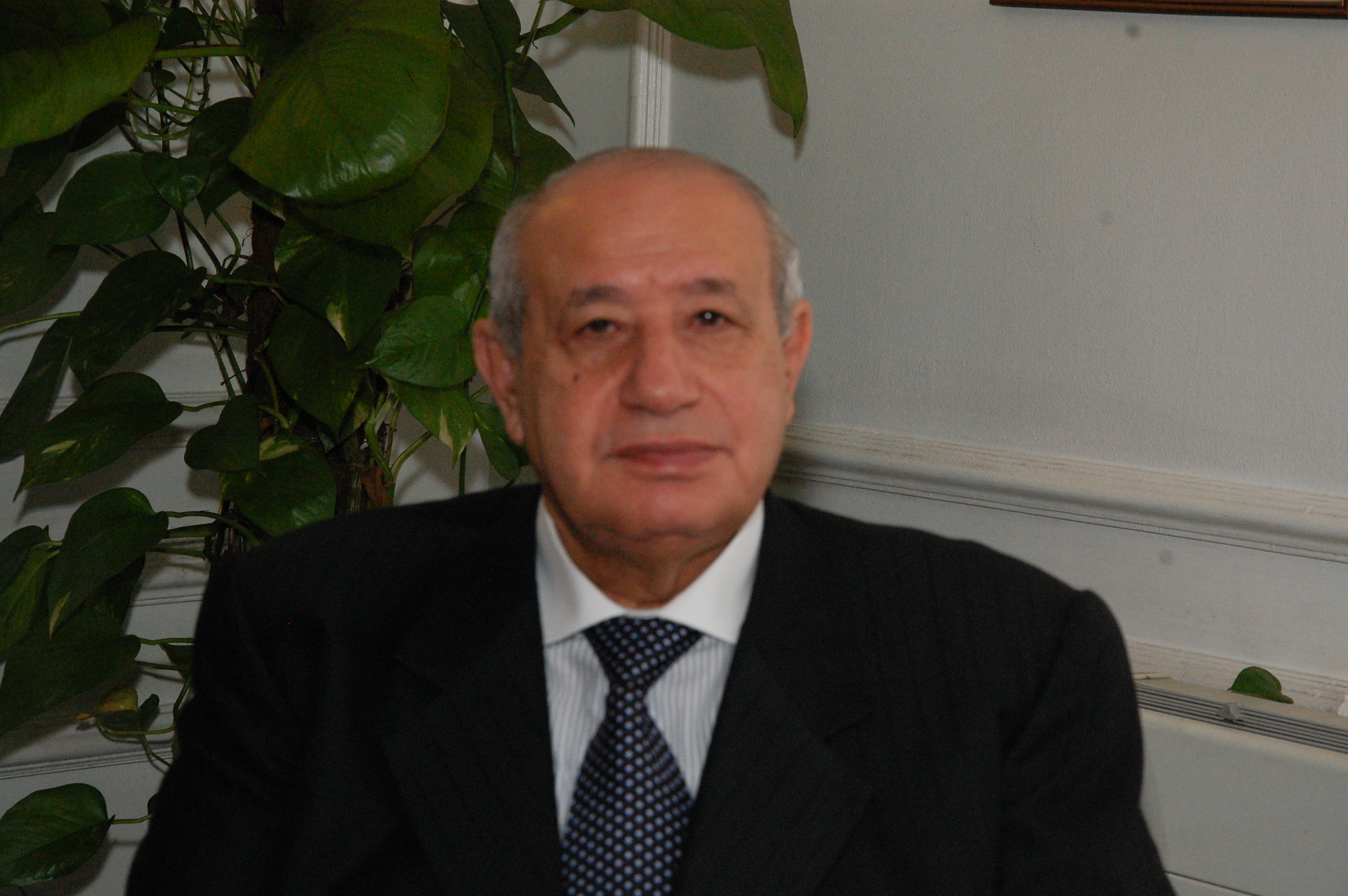 غدا بدء تطبيق مشروع توصيل البوتاجاز “ديلفرى” خلال 48 ساعة