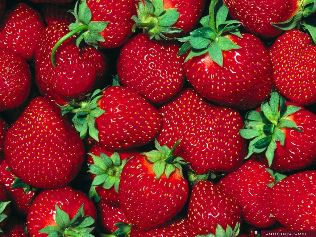 “بيكو” تطرح 5 أصناف جديدة من فراولة التصدير بمعرض “صحارى”