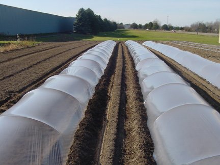 “سامتريد” تستهدف الوصول بالمبيعات إلى 170 مليون جنيه