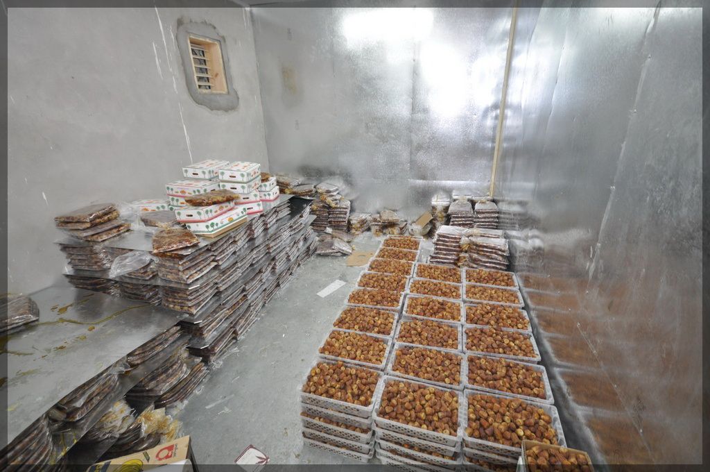 “جالينا” تقيم ثلاجات لحفظ البطاطس والخضر باستثمارات 40 مليون جنيه