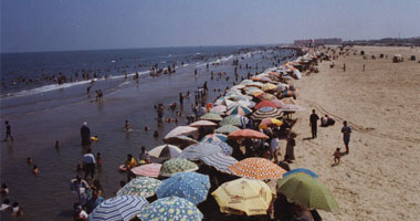 “حماية الشواطئ” تطرح مناقصة لإنشاء رؤوس حجرية لشواطئ بلطيم