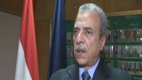 محافظ المنيا