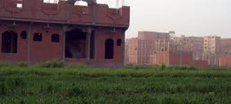 865 ألف حالة تعدٍ تستنزف 37 ألف فدان من الأراضى الزراعية منذ الثورة