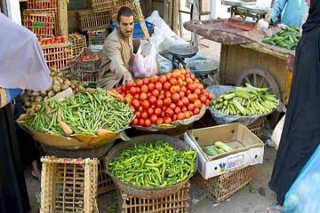 شعبة الخضر والفاكهة: توقعات بانخفاض الأسعار بالأسواق 60%