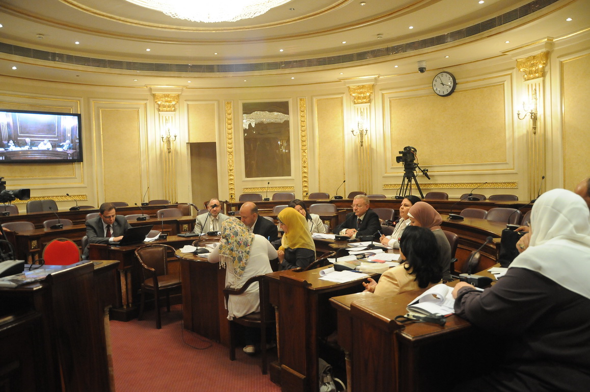 اللجان الفرعية عن لجنة الخمسين اليوم ولقاء موسى بتيار الاستقلال