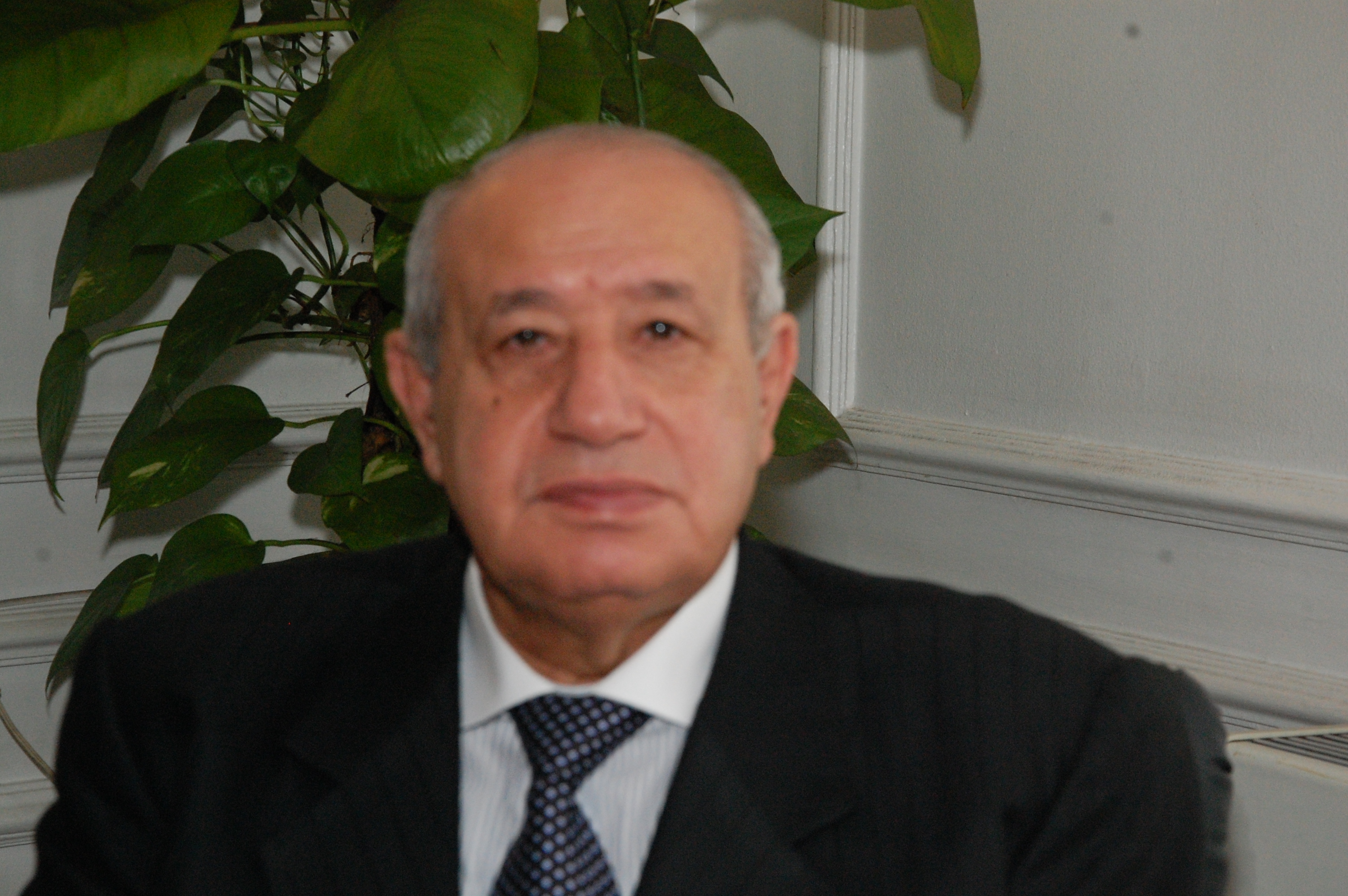 2138 شكوى عن البطاقات التموينية والمخابز والأسعار الاسترشادية خلال أسبوع