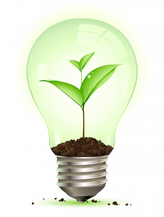 « فكرة » يُطلق نسخته الفعلية نهاية يناير المقبل.. ويبحث عن مستثمرين للتمويل فى 2014