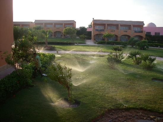 طرح 21 محلاً تجارياً وصيدلية بـ «أكتوبر» للبيع بالمزاد الشهر المقبل