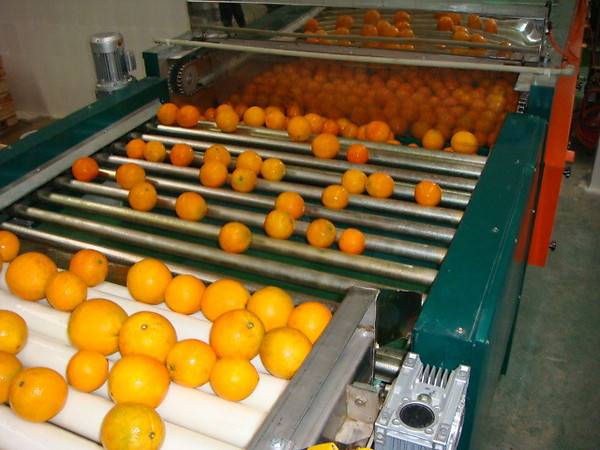 محافظ البحيرة: محطة فرز وتعبئة خضر وفاكهة بتكلفة 5 ملايين جنيه بأبو المطامير