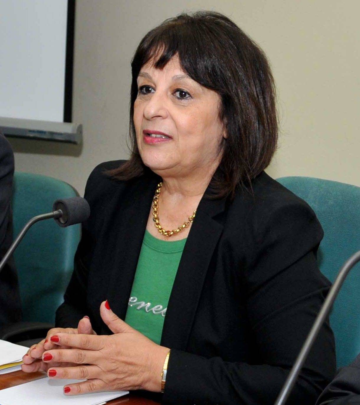 ليلى إسكندر :قرار  « البيئة » حول إستخدام الفحم فى مصانع الإسمنت ليس منفرداً وتشارك فيه جهات أخرى