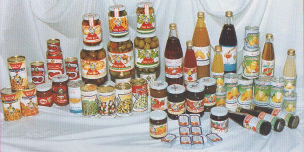 «قها للأغذية» تطور خط إنتاج بتكلفة 6 ملايين جنيه وارتفاع مبيعاتها إلى 33 مليوناً خلال 5 أشهر