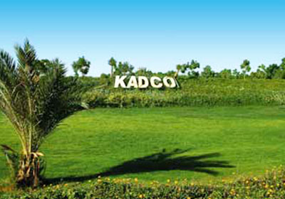 المدير التنفيذى: « كادكو » تضخ 300 مليون جنيه للوصول بالمساحة المنزرعة إلى 10.5 ألف فدان بنهاية 2014