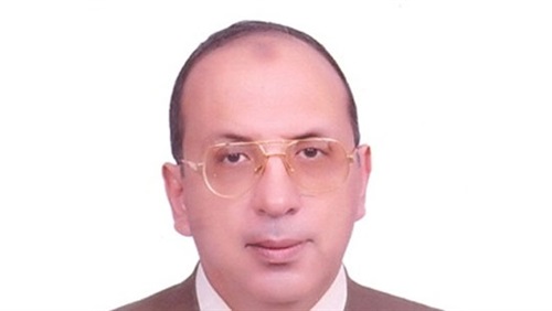 إستئناف حملة مكافحة الكلاب الضالة بالإسماعيلية فبراير المقبل