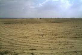 لمياء جلال مديرة الاستثمار ببنى سويف: بدء إنشاء مصنع أسود الكربون باستثمارات 500 مليون جنيه لإنتاج الإطارات والدهانات