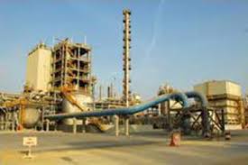 مديرة منطقة كوم أبو راضى: إنهاء ترفيق المرحلة الأولى من منطقة كوم أبو راضى يونيو المقبل وضم 158 فداناً إضافية