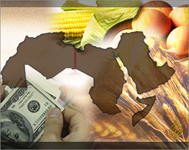 وزير الزراعة السوداني يبحث تنمية التعاون الزراعي مع نظيريه الليبي والأردني