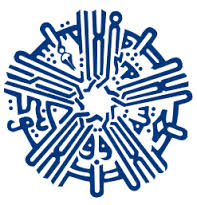 الصندوق الكويتي يزور مشروعات الاجتماعي للتنمية ببني سويف