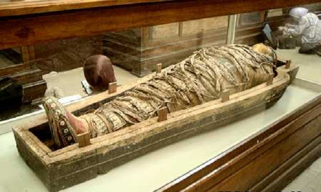 فرعون جديد يكشف أسرار مؤامرة تقسيم مصر