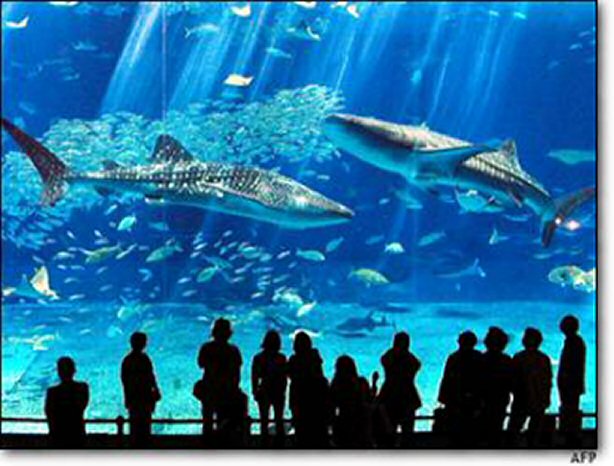 تقرير: السائح الكويتي ينفق 3000 دولار يومياً